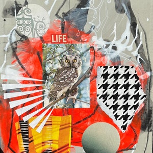 Owl