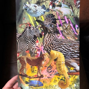 SEAHORSE SEASHELL PARTY, Collage Art, Contemporary Art, Mixed media, Surreal, Pop Art