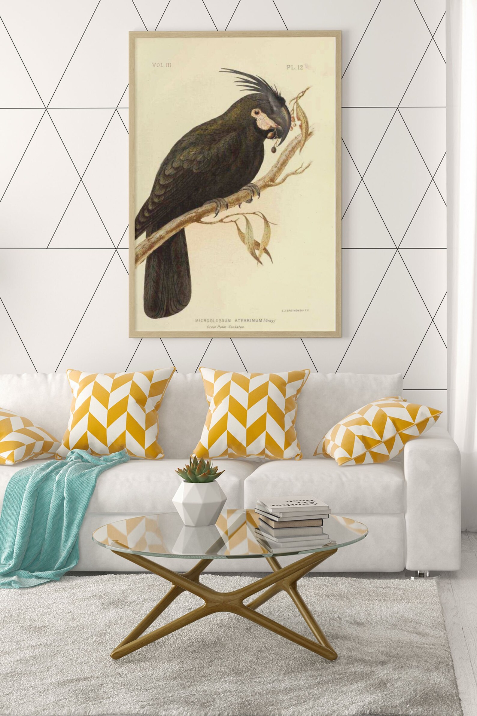 Antiker Vogel Druck Antike Kakadu Kunst 19. Jahrhundert | Etsy