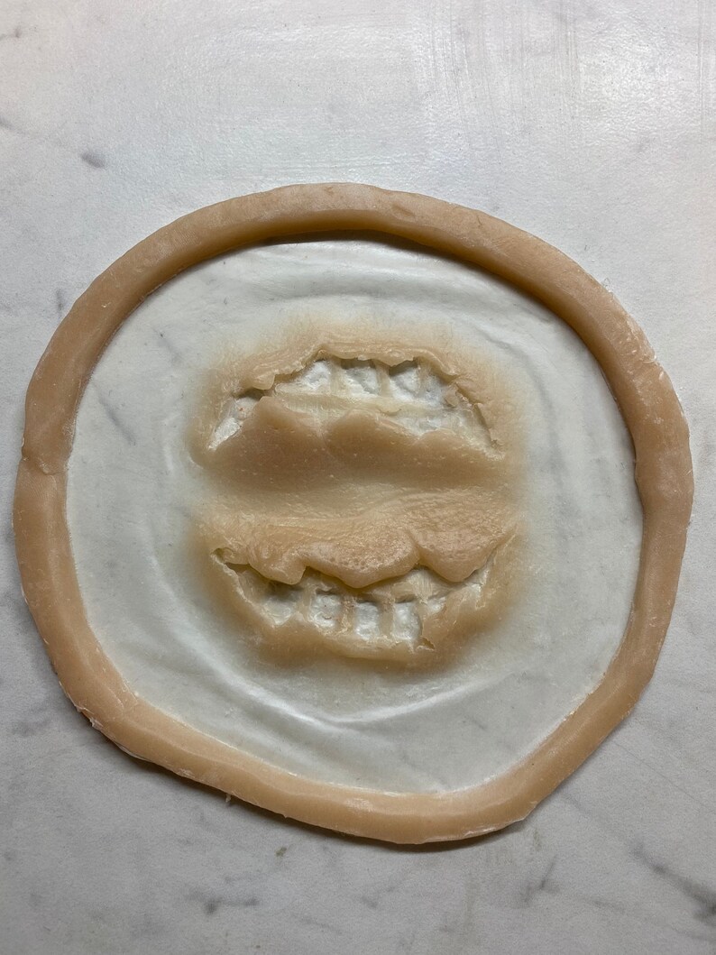 May include: A close-up of a beige silicone mold with two sets of teeth impressions. The mold is circular and has a raised edge.