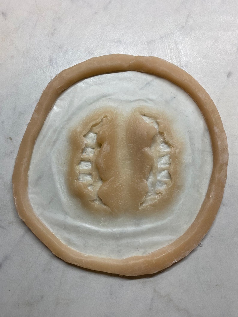 May include: A close-up of a light brown silicone mold with a raised, textured design in the center. The mold is circular and has a raised rim.