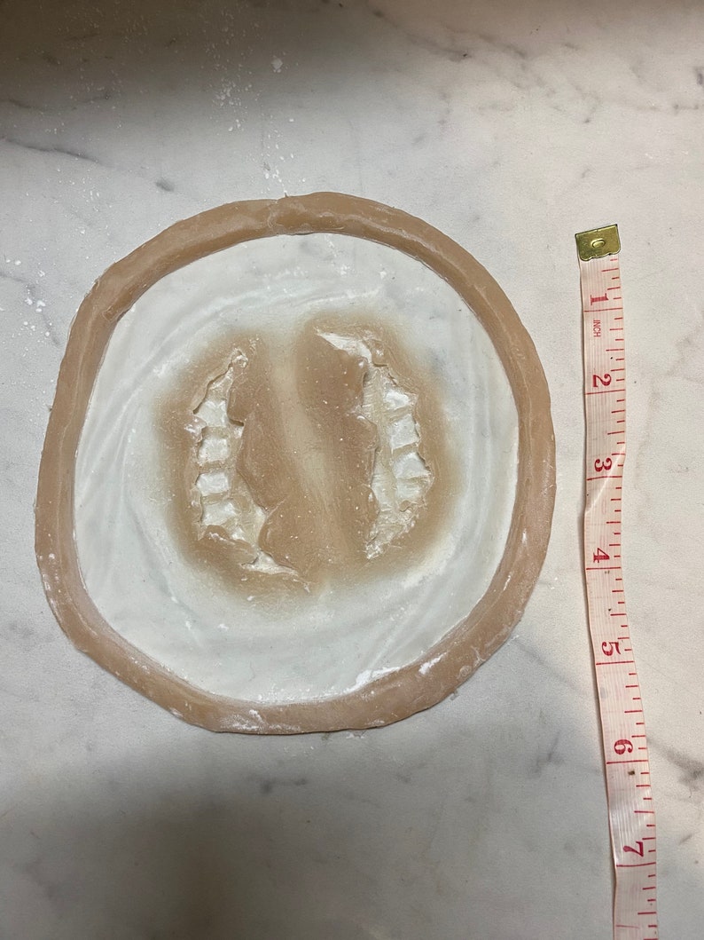 May include: A close-up of a round, light brown mold with a white interior. The mold has a textured surface and a raised design in the center. A measuring tape is visible in the background, indicating the mold is approximately 6 inches in diameter.