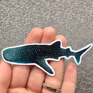 Whale Shark Waterproof Vinyl Sticker Kawaii Chibi Marine Animal Lover Art  Laptop Decal Cute Cartoon Aquarium Souvenir Sea Creature Gift 