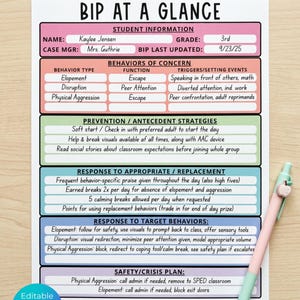 May include: A printed BIP AT A GLANCE document featuring sections for student information, behaviors of concern, prevention strategies, and safety plans. The form includes pink, orange, green, blue, and purple color-coded rows with text.