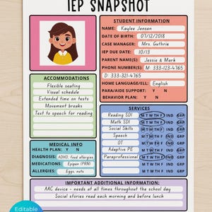 IEP Snapshot Editable Template | SPED Teacher Planner, Special Education Student Profile | Autism Parent Resource | IEP At a Glance