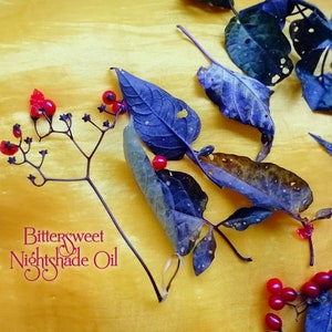 May include: A close-up of red berries and purple leaves on a yellow fabric background. The text "Bittersweet Nightshade Oil" is written in pink lettering.
