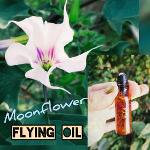 Könnte beinhalten: Nahaufnahme einer weißen Mondblume mit lila und grünen Akzenten. Eine kleine braune Flasche mit der Aufschrift "Flying Oil" wird von einer Person gehalten. Der Text "MoonFlower" und "FLYING OIL" ist ebenfalls zu sehen.