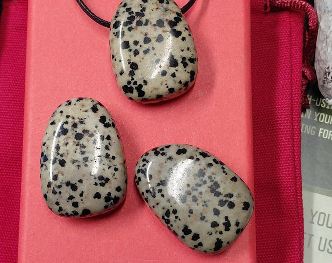 Dalmation Jasper - Black Cord- Gift Box- Gift-Yourself- Friends-Family-Loved One-Gift Box