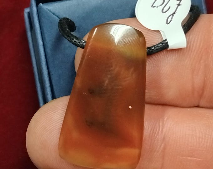 Condor Agate- - Pendant- Black Cord - Gift-Yourself- Friends-Family-Loved One-Gift Box