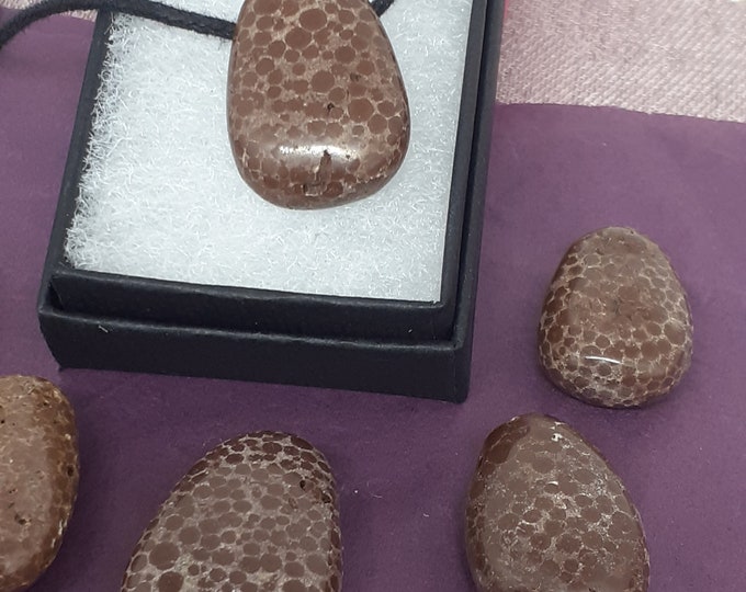 Oolite-Tumbled-Pendant- Black Cord - Gift-Yourself- Friends-Family-Loved One-Gift Box