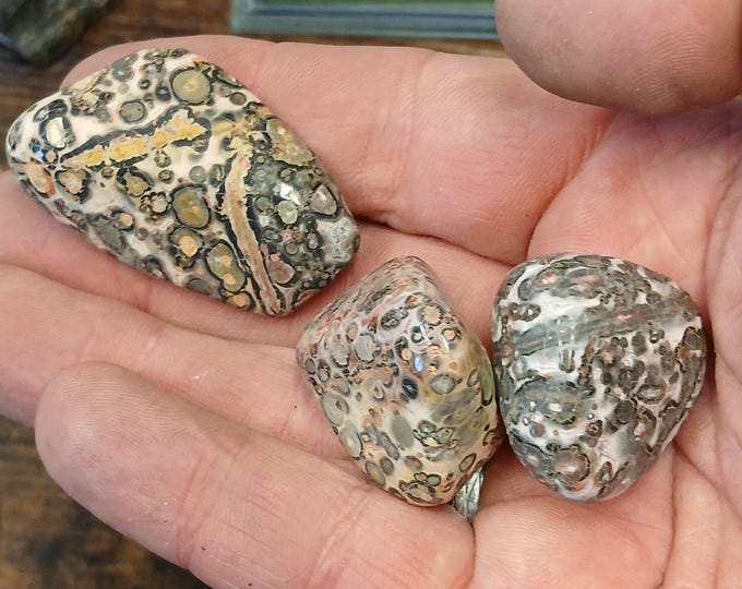 Leopardskin Jasper-Tumbled-Gift-Yourself-Friends-Family-Loved One