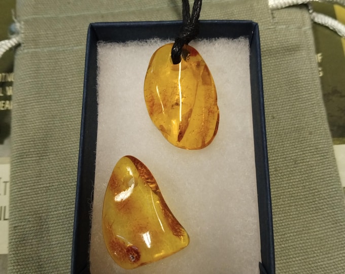 Amber-Baltic - Pendant- Black Cord - Gift-Yourself- Friends-Family-Loved One-Gift Box