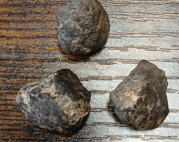 Chondrite-Meteorite-Gift-Yourself-Friends-Family-Loved One
