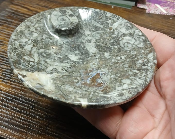 Goniatite Bowl-Morocco-Gift-Yourself-Friends-Family-Loved One