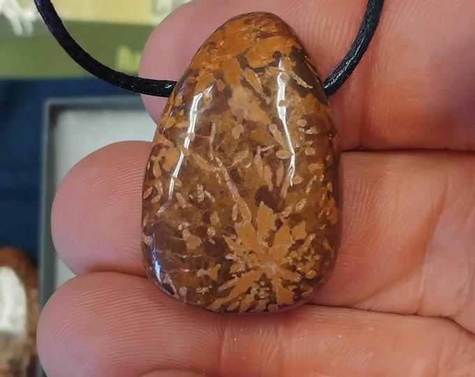 Rhyolite Star Jasper- - Pendant- Black Cord - Gift-Yourself- Friends-Family-Loved One-Gift Box