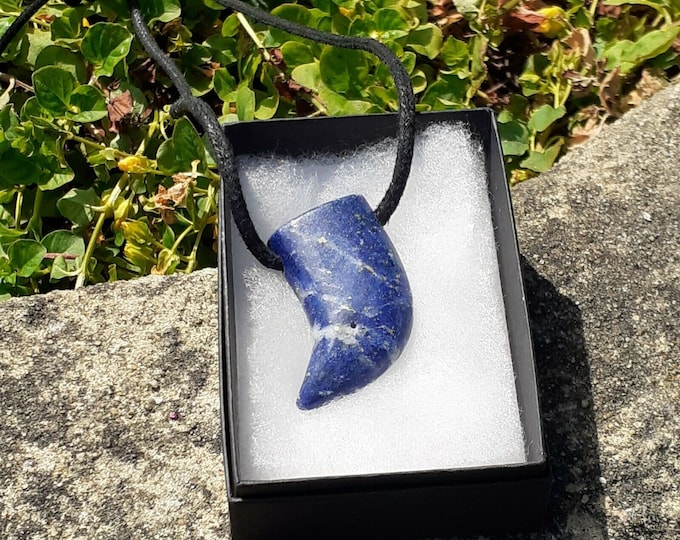 Lapis Lazuli- Claw - 35 mm long 11 mm thick  -Pendant-  Black Cord- Gift Box- Gift Yourself- Friend- Family -Loved One