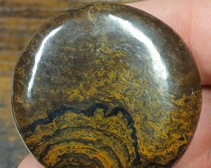 Palmstones- Stromatolite- A Grade-45 mm-Gift-Yourself-Friends-Family-Loved One
