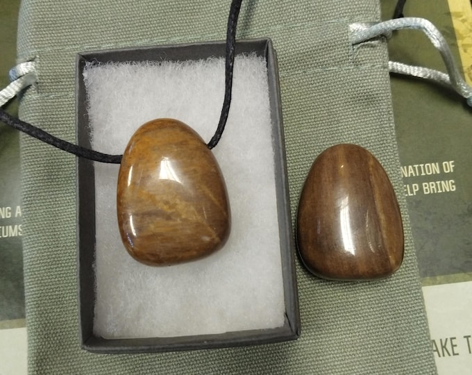 Petrified Wood -Pendant- Black Cord- Perfect gift for yourself- a friend or a Loved one