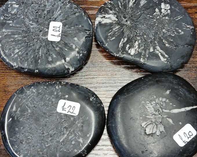 Chrysanthemum Stone Palm Stone -Unique Natural Flower Pattern Palm-Gift-Yourself-Friends-Family-Loved One