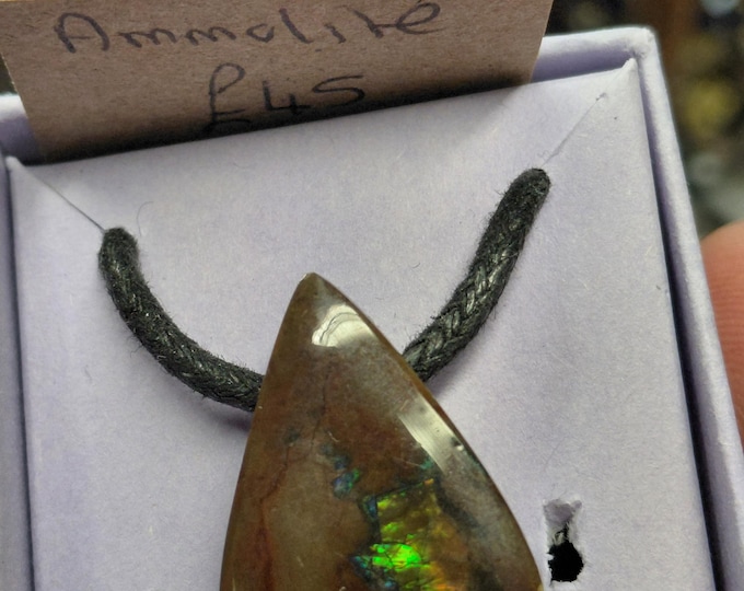 Freeform Ammolite -Pendant- Black Cord