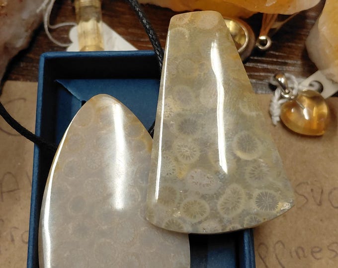 Petrified Coral-Pendant- Black Cord- Gift Box- Gift-Yourself- Friends-Family-Loved One-Gift Box