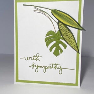 Tropical deja tarjeta de simpatía