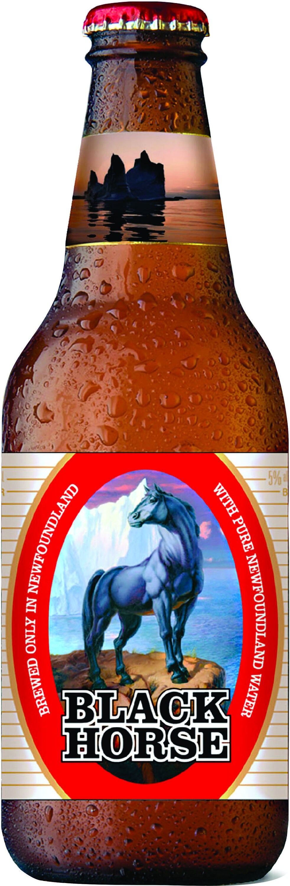Newfoundland Beer Black Horse Large Refrigerator Decal - Etsy Finland