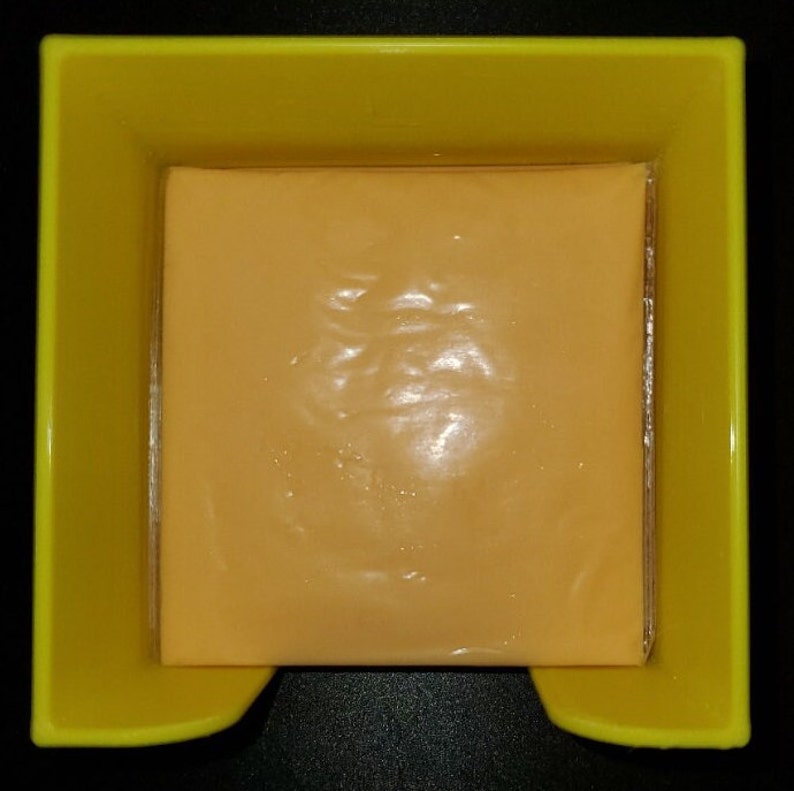 Slice Cheese Holder/Cheese/Holder/Fridge Etsy