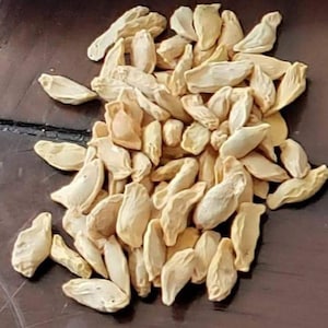 May include: A pile of dried, light beige pumpkin seeds. The seeds have a slightly curved shape and a textured surface. They are scattered on a dark brown surface, creating a natural, earthy aesthetic.