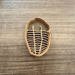 May include: A gold-colored, trilobite-shaped object. The object has a detailed, segmented body and a curved head. The design is reminiscent of a fossil. The object is likely a decorative item or a craft supply.