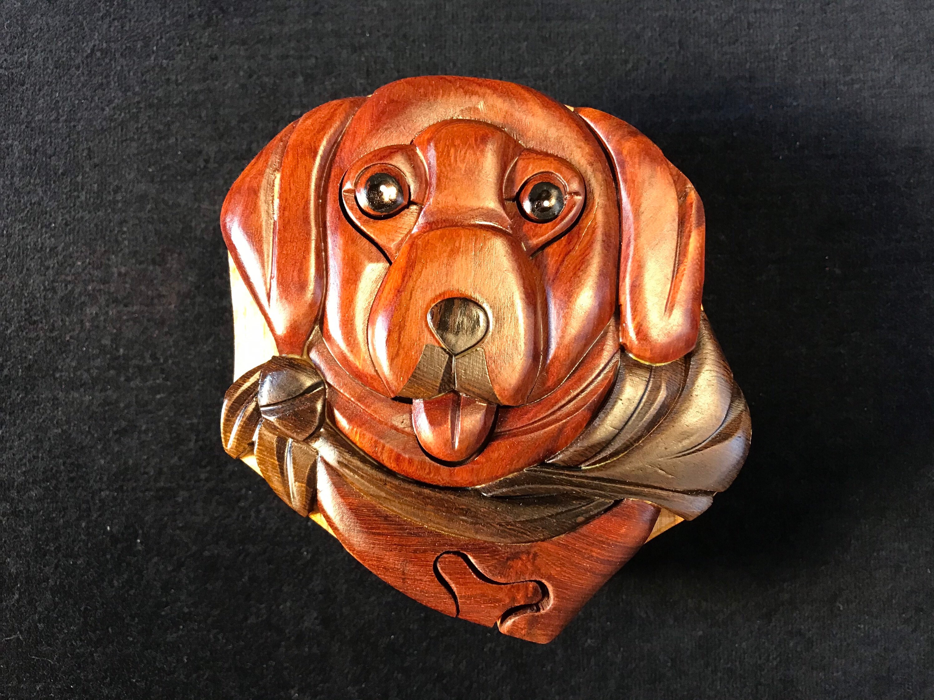 Box Of Chocolate Labs