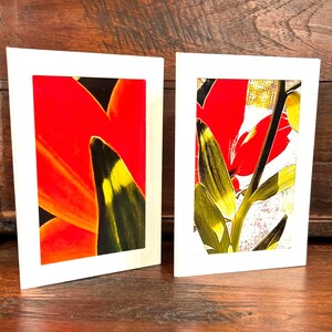 Conjunto de 12 tarjetas LOS PÁJAROS Y LAS FORMAS