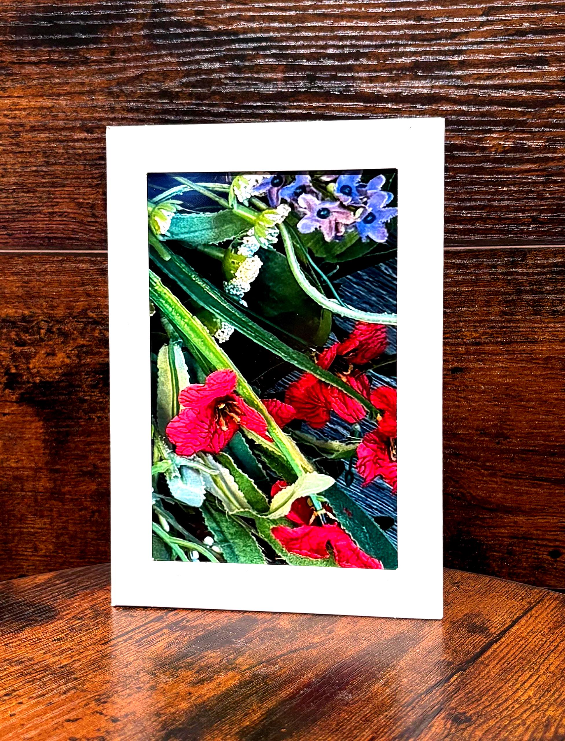 CLASSIC Blank Notecard, Set of 12 Cards - Etsy