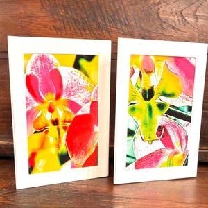 LA ORQUÍDEA ABSTRACTA Juego de 12 cartas