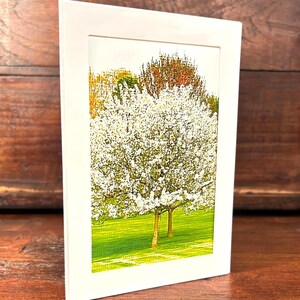 Lot de 12 cartes NATURELLEMENT BEAU