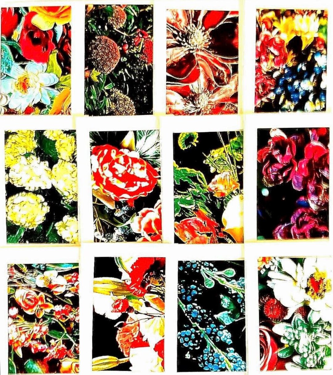 FLORAL Notecard Set, Blank Cards With Envelopes, Set of 12 - Etsy
