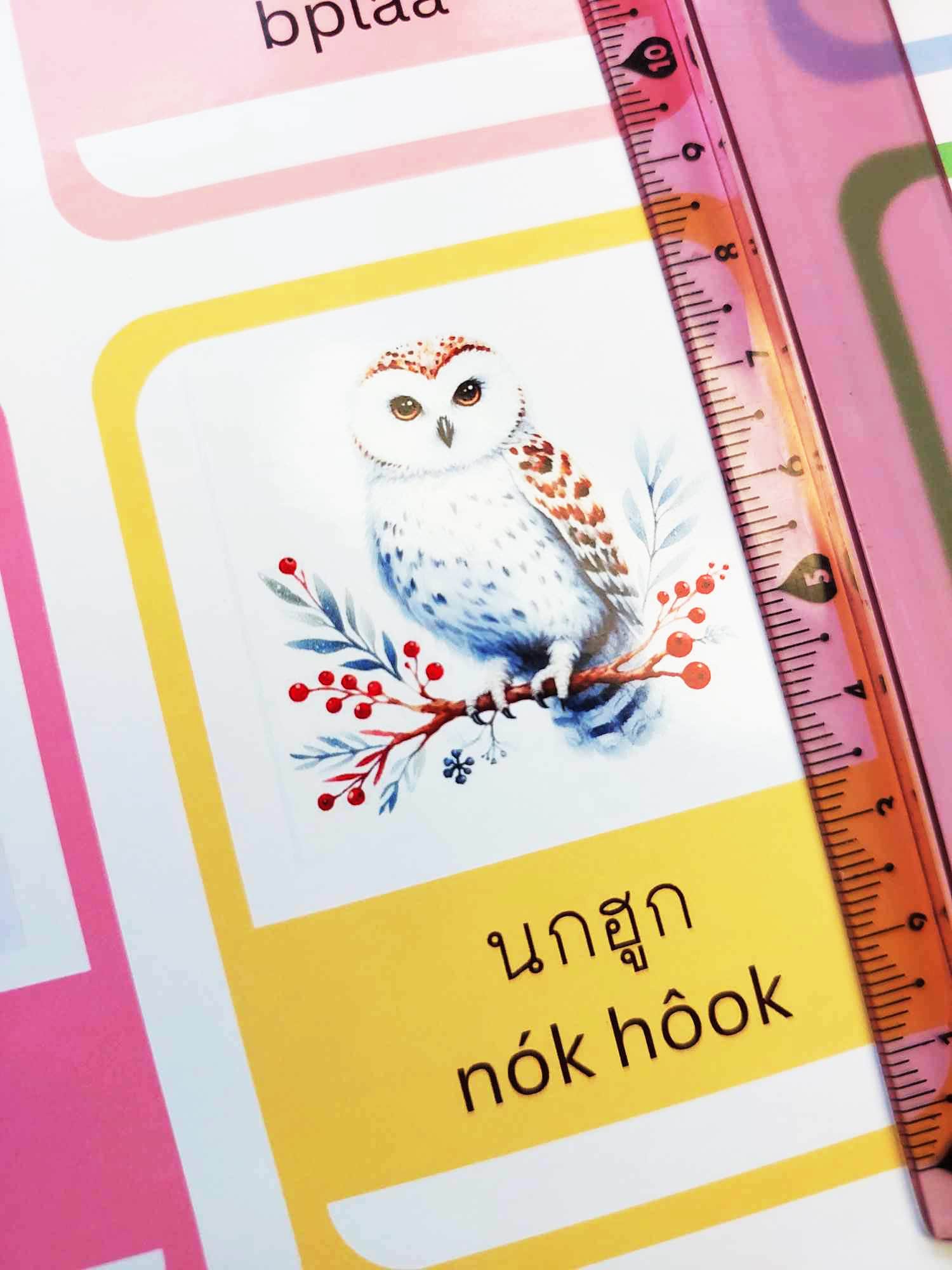Printable Thai Sight Word Flashcards Thai Study,24 Animals Learning ...