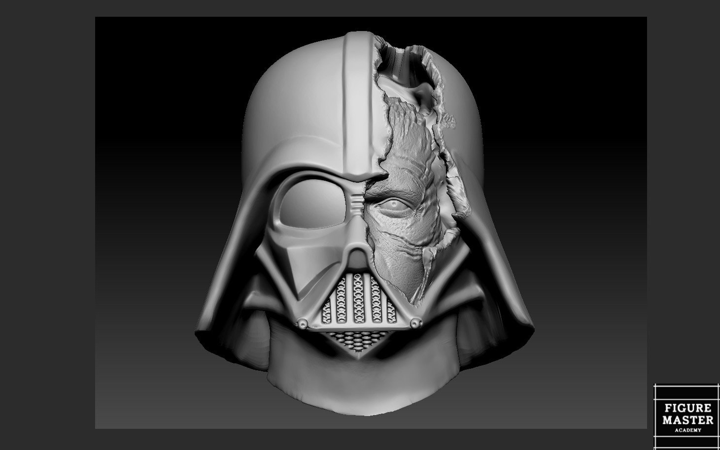 DARTH VADER Anakin Damaged Helmet Custom Head for Figure 3d Print Stl ...