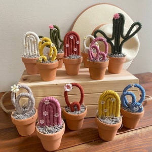May include: A collection of 10 handmade yarn cactus plants in various colors, including white, yellow, red, pink, blue, and green. The cacti are arranged in terracotta pots and are displayed on a wooden surface.