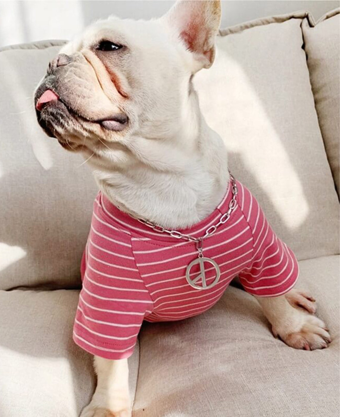 Matching Pet Owner Set dog lover gift couple matching pet Etsy