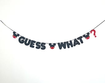 Disney Holiday Surprise Banner Euro, Disney World, Disneyland ‘Guess What’?