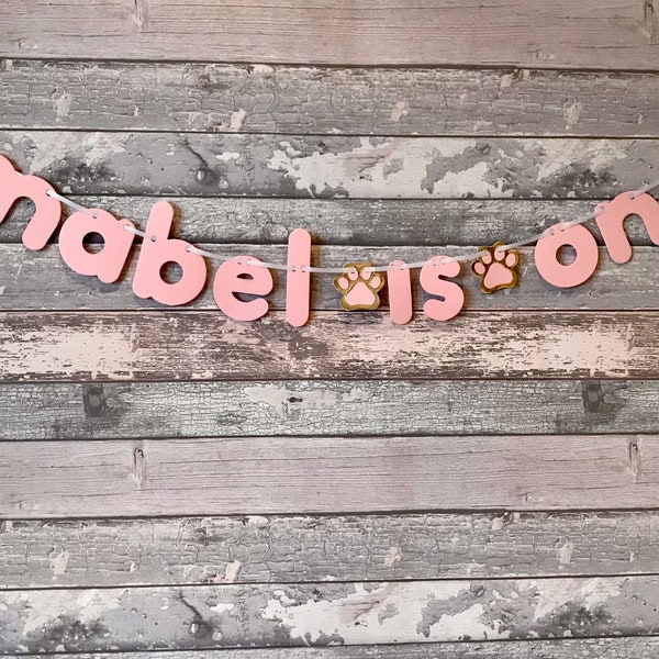 Dog or Cat Birthday Banner Pale Pink (Any Name and age)