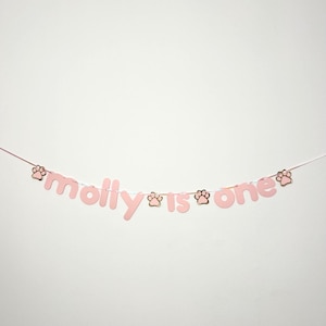 Custom Dog or Cat Personalised Birthday Banner Pale Pink (Any Name and age)