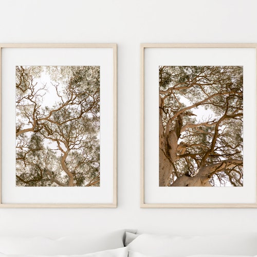 Set of 2 Australian Outback Unframed Wall Art Prints Nature Etsy
