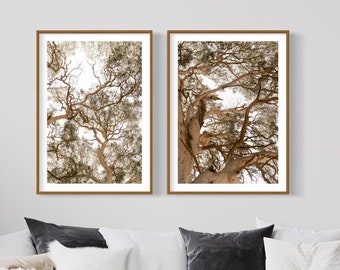 Set of 2 Australian Outback Unframed Wall Art Prints Nature Photography Gumtree Botanic Modern Boho Art Tree Leaves Print Home Office Decor