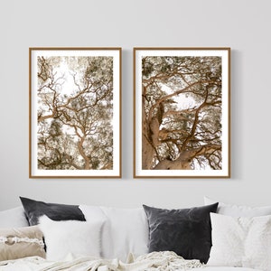 Set of 2 Australian Outback Unframed Wall Art Prints Nature Photography Gumtree Botanic Modern Boho Art Tree Leaves Print Home Office Decor