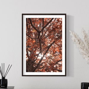 Autumn Tree Nature Portrait Wall Art Print Fall Leaves Print Botanical Country Wall Art Photography Print Home Office Decor Unframed Print