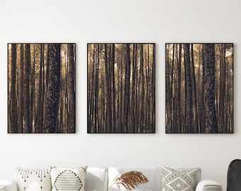 Set of 3 Forest Tree Wall Prints Botanic Nature Art Indonesia Photography Portrait Print Set Tree Art Tropical Home Decor Unframed Print Set