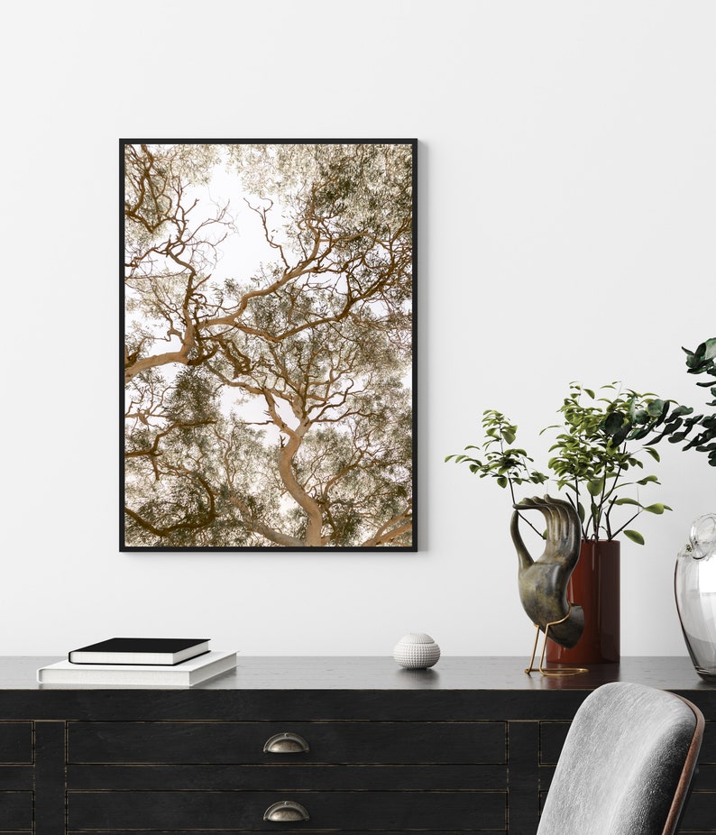 Australian Bush Gumtree Wall Art Botanical Print Nature Etsy Australia