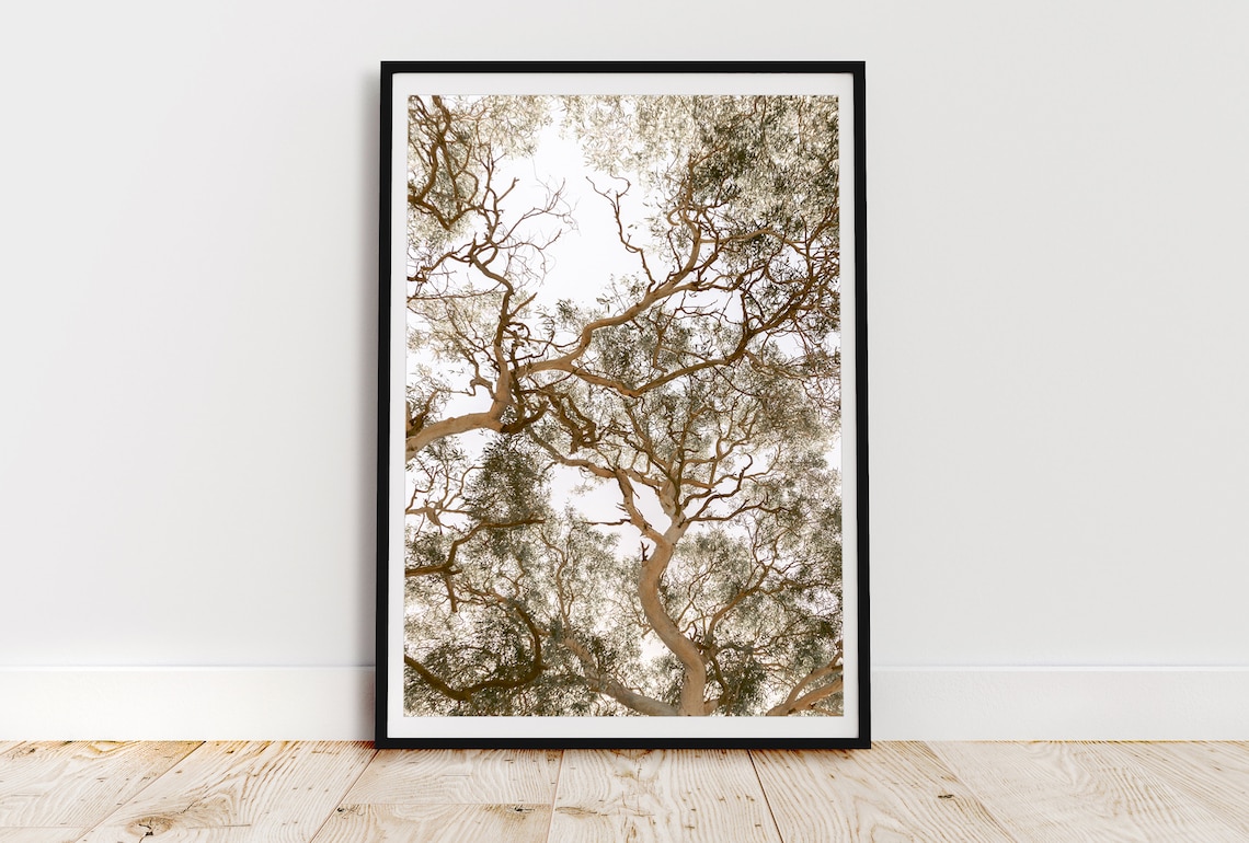 Australian Bush Gumtree Wall Art Botanical Print Nature Etsy